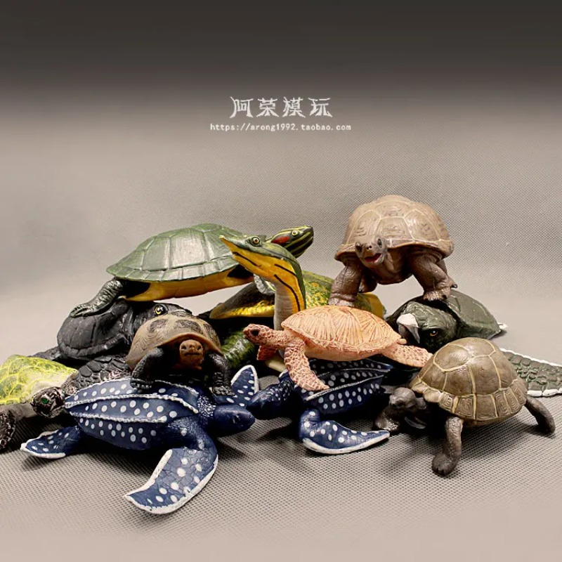 Ocean Aquarium - Leatherback Red-eared Turtle Land Tortoise Oceans