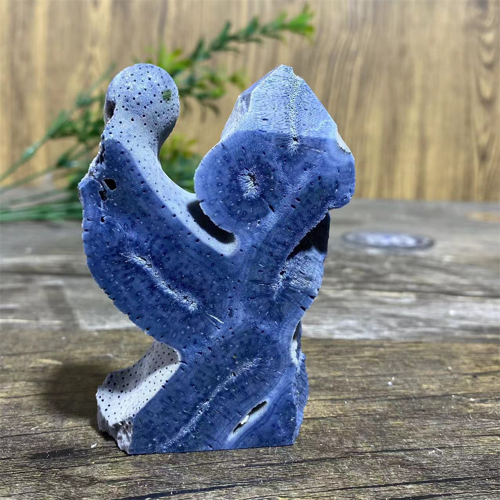 Marine Coral - Natural Blue Ocean Coral Specimen Stone