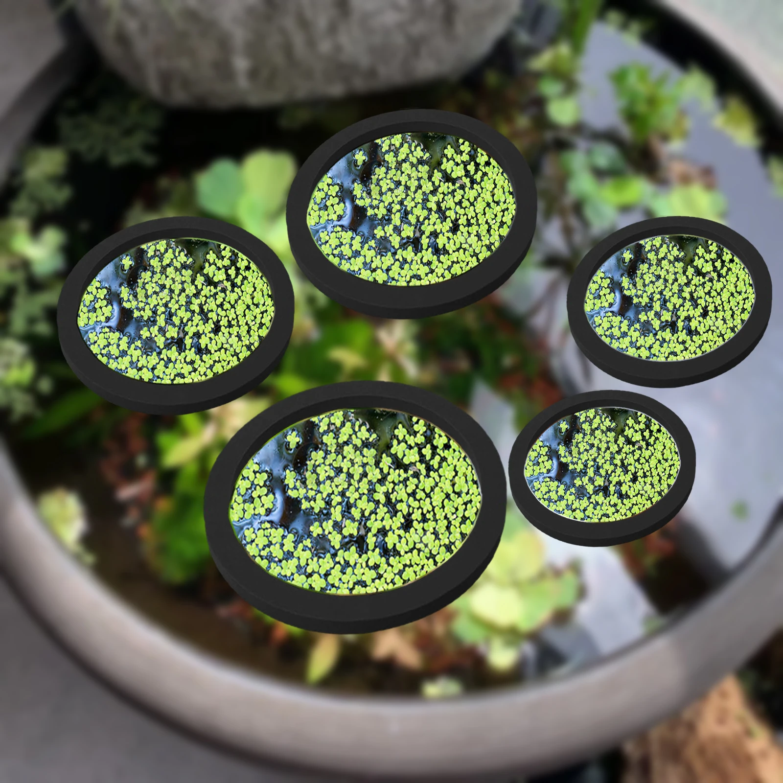 Ocean Aquarium - 5Pcs EVA Fish Feeding Ring Aquarium