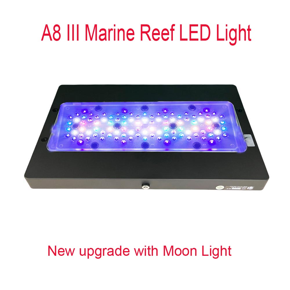 Marine Coral - A8 III Moon light Powerful Marine