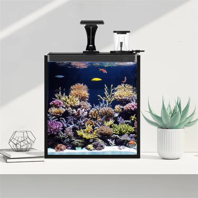 Ultra Clear Glass Mini Salt Wa - Marine Aquarium Cube ulasan dan harga