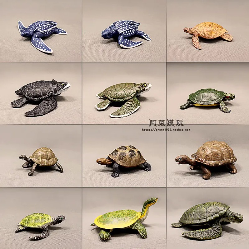 Leatherback Red-eared Turtle L - Ocean Aquarium ulasan dan harga