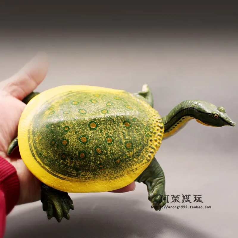 Leatherback Red-eared Turtle L - Ocean Aquarium ulasan dan harga