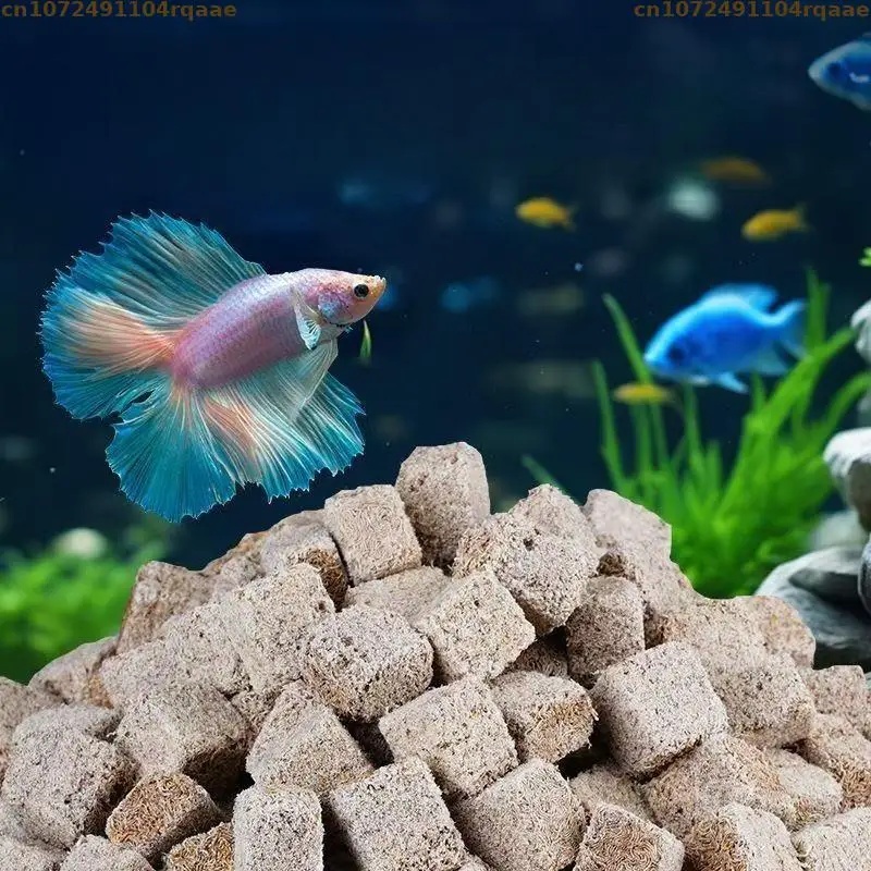 Natural Freeze Dried Bloodworm - Marine Aquarium Cube ulasan dan harga
