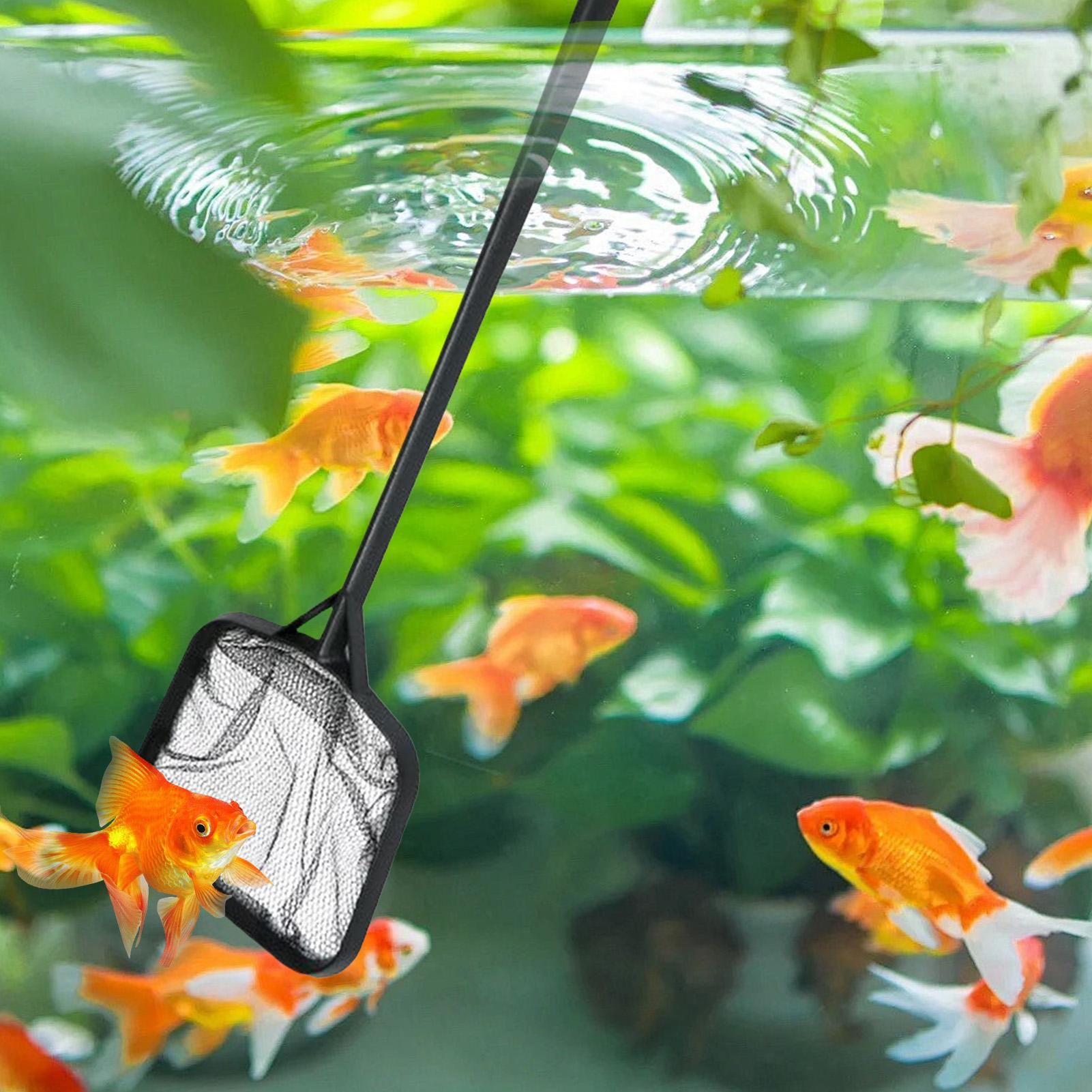 Pool Nets for Cleaning Portabl - Ocean Aquarium ulasan dan harga