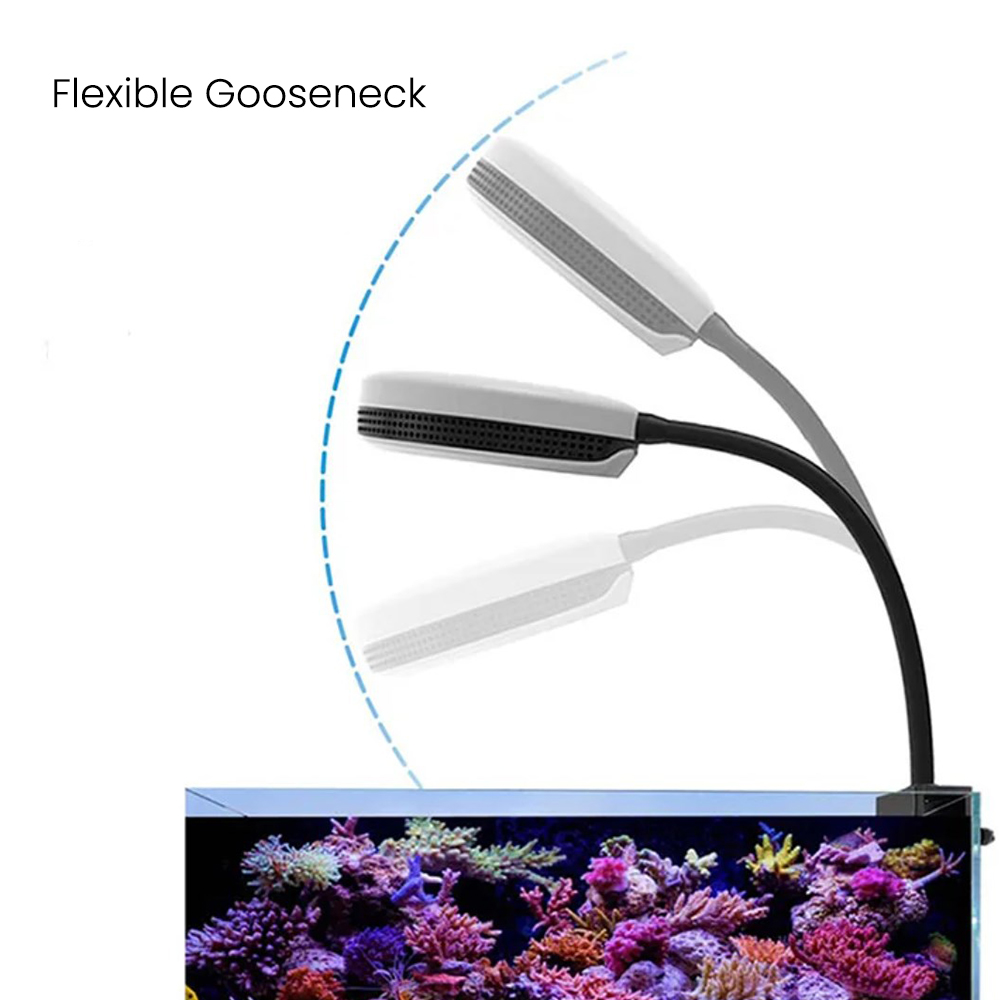 Spectra SP20 20W Aquarium LED  - Marine Coral ulasan dan harga