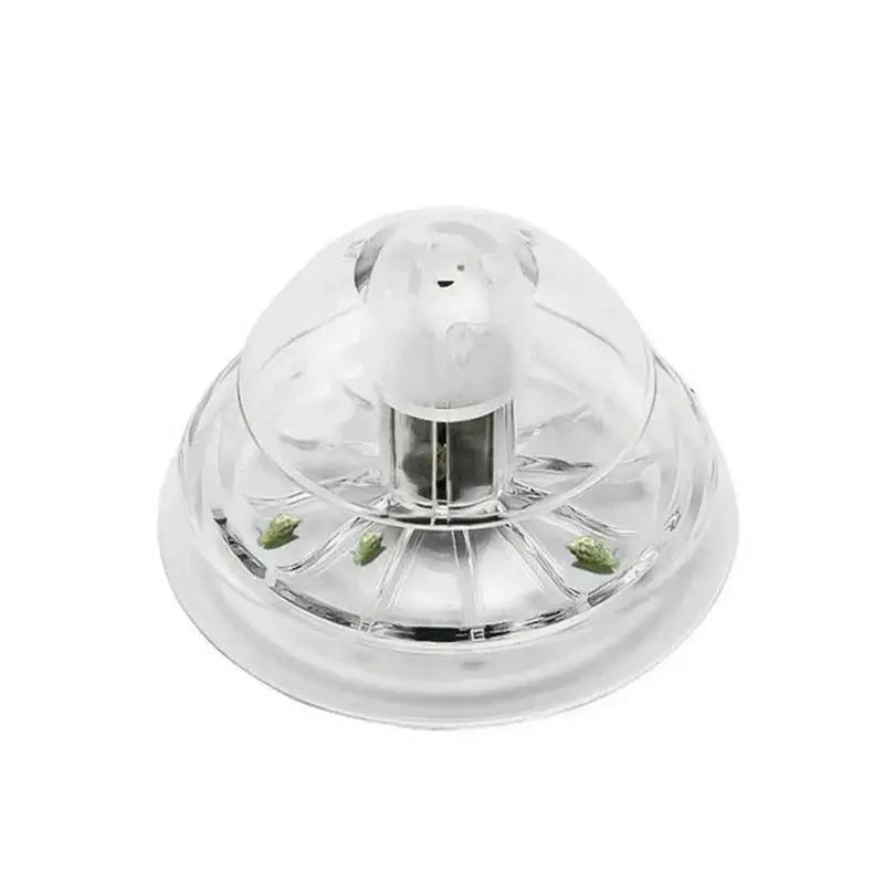 2026 New 6/8CM Clear Plastic S - Ocean Aquarium ulasan dan harga
