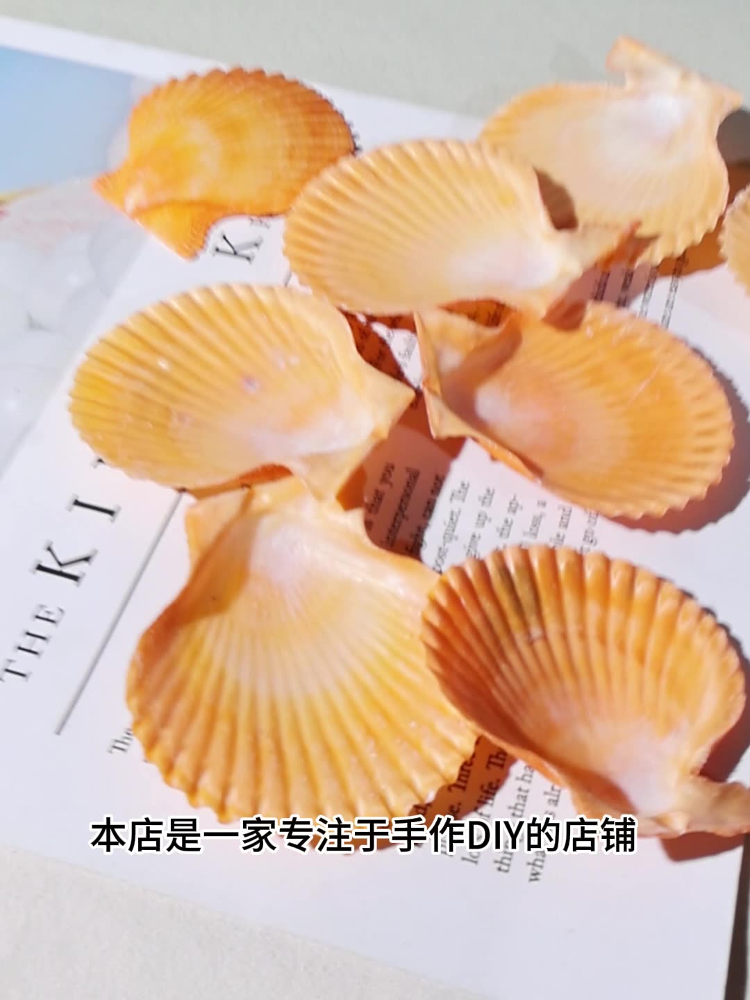 Best Yellow scallop shell fish - Marine Fish Tank ulasan dan harga