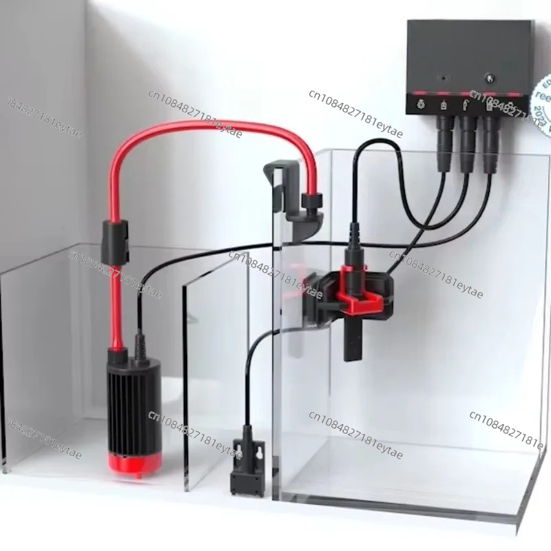 Intelligent Reliable Aquarium  - Marine Coral ulasan dan harga