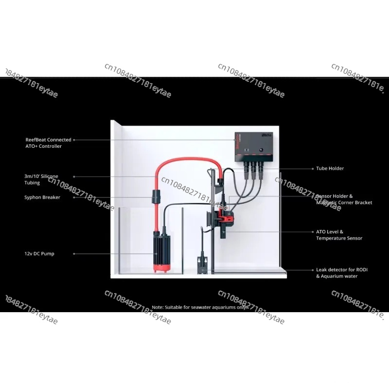 Intelligent Reliable Aquarium  - Marine Coral ulasan dan harga