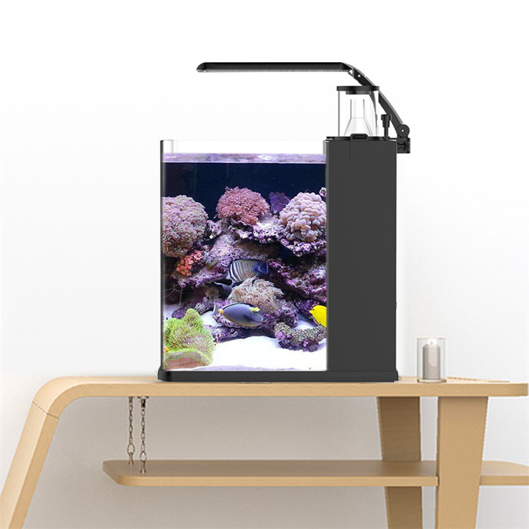 Skynuo Ultra Clear Glass Mini  - Marine Aquarium Cube ulasan dan harga