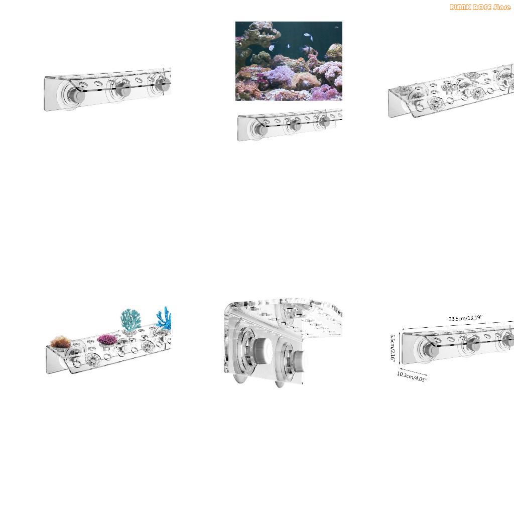 K1AE 32 Holes Coral Frag Rack  - Reef Aquarium ulasan dan harga