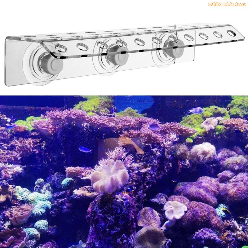 K1AE 32 Holes Coral Frag Rack  - Reef Aquarium ulasan dan harga
