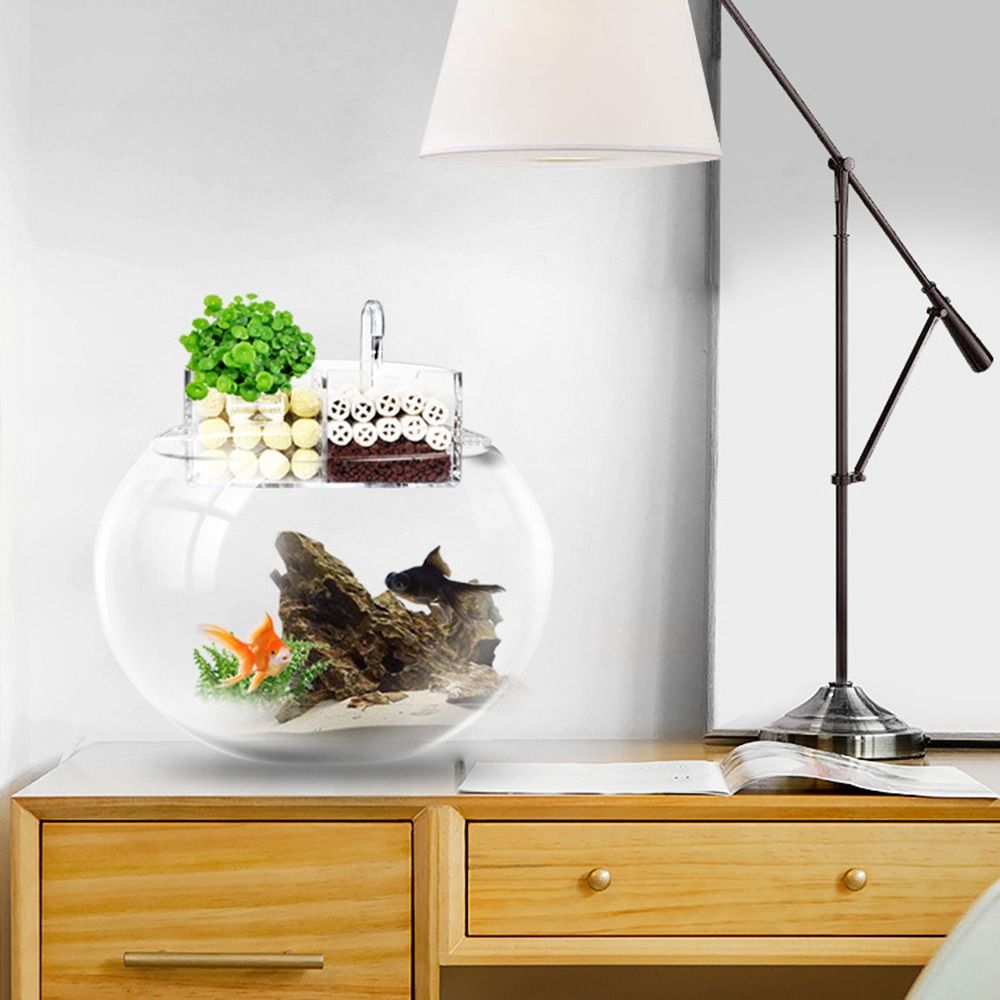 3-in-1 External Filter Box Han - Reef Tank Filter ulasan dan harga