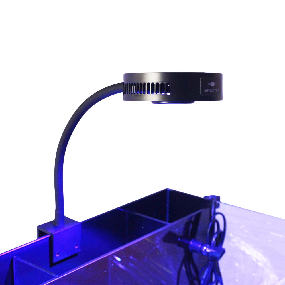 Aquaknight V2 Marine Reef Ligh - Reef Lighting ulasan dan harga