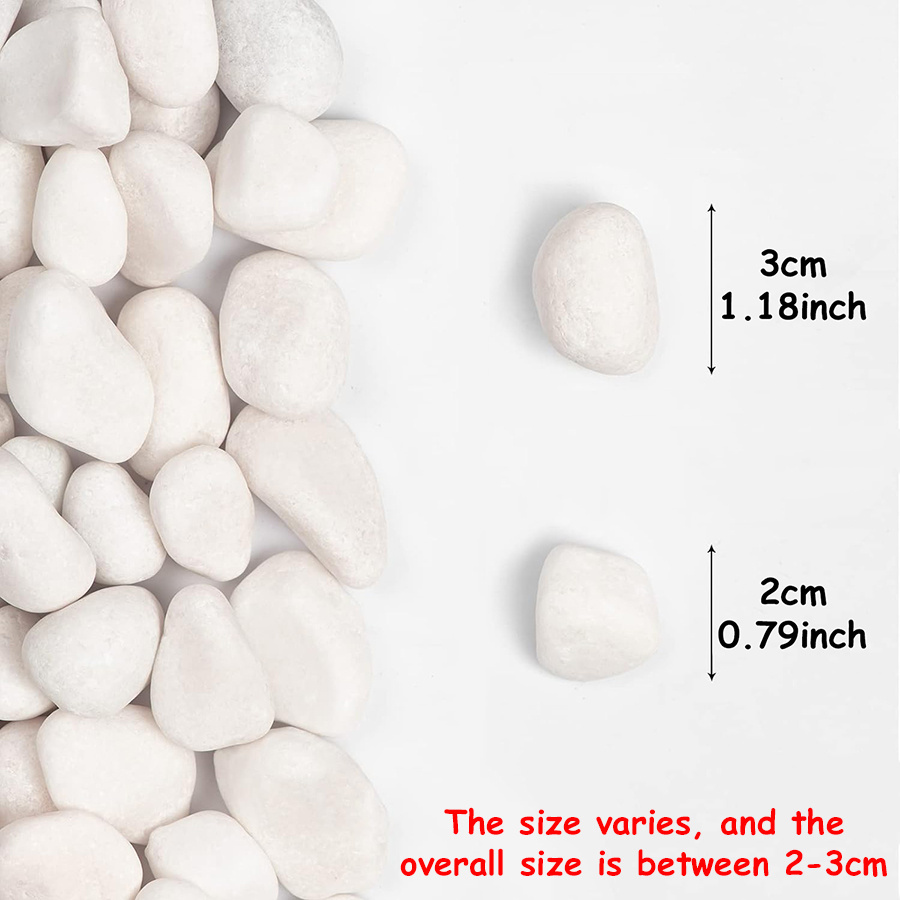 200/400g White High Polished N - Marine Fish Tank ulasan dan harga