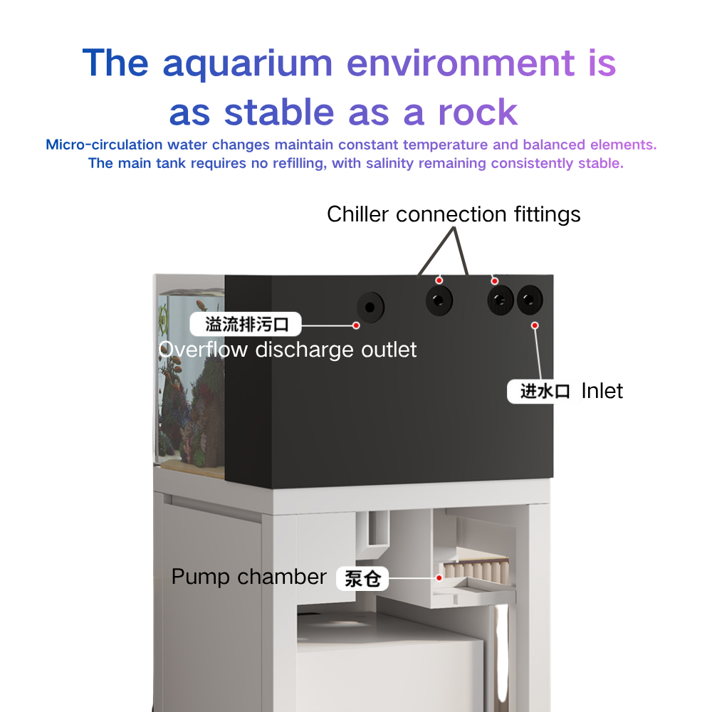 Smart Fish Tank Paopaoshark Au - Marine Aquarium Cube ulasan dan harga