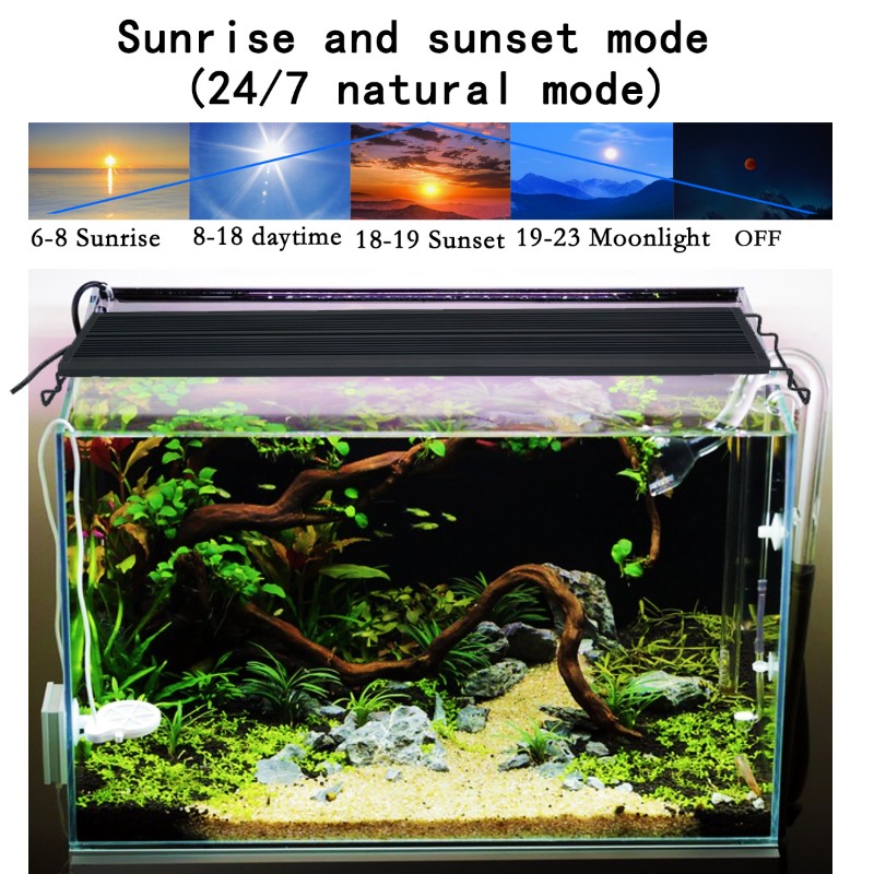 LED Fish Tank Light Full Spect - Reef Lighting ulasan dan harga