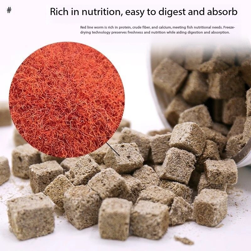 Natural Freeze Dried Bloodworm - Marine Aquarium Cube ulasan dan harga