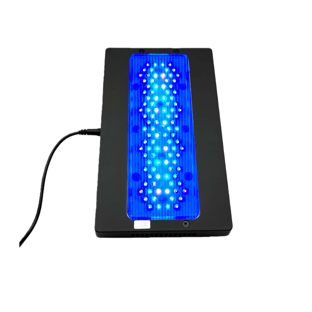 A8 III Moon light Powerful Mar - Marine Coral ulasan dan harga