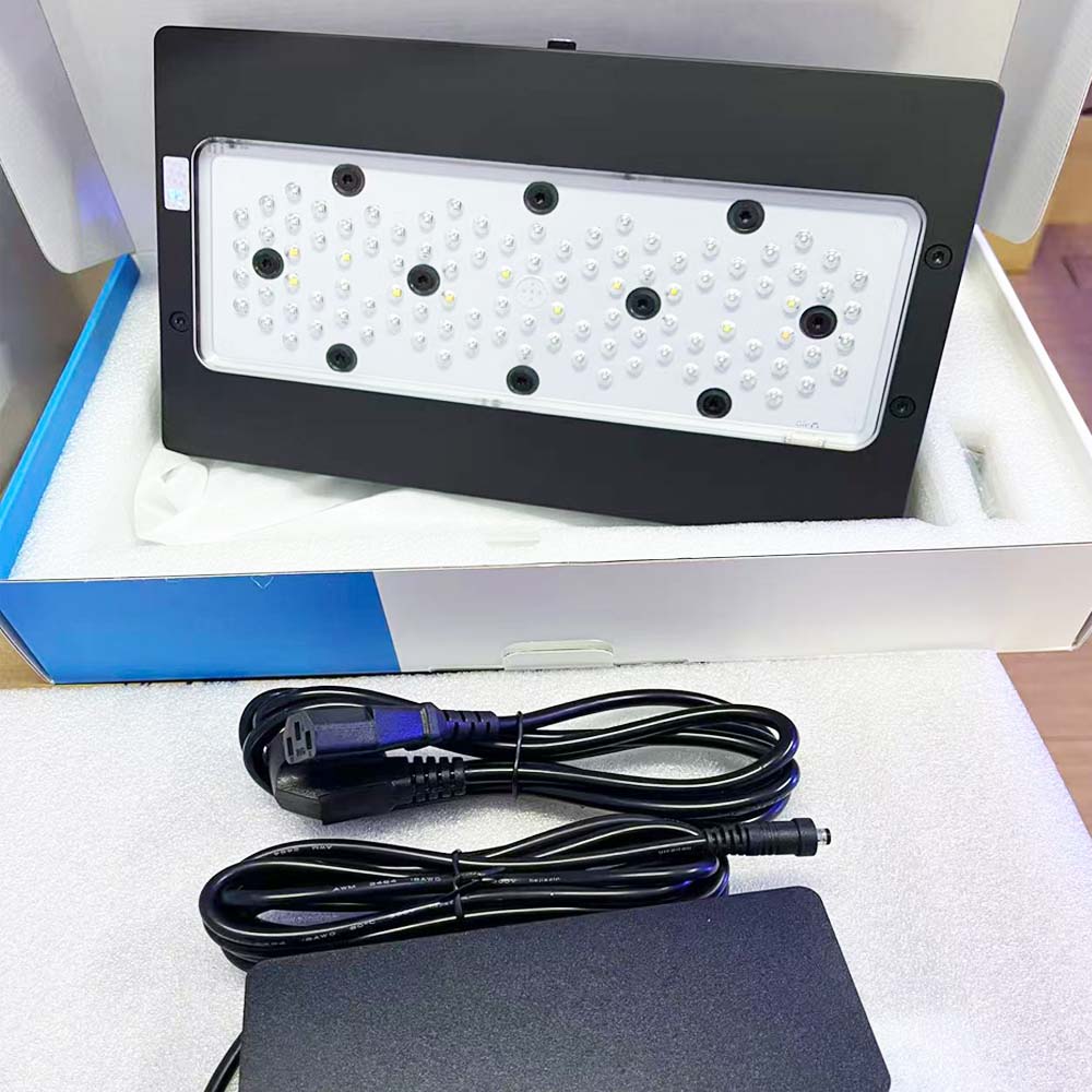 A8 III Moon light Powerful Mar - Marine Coral ulasan dan harga