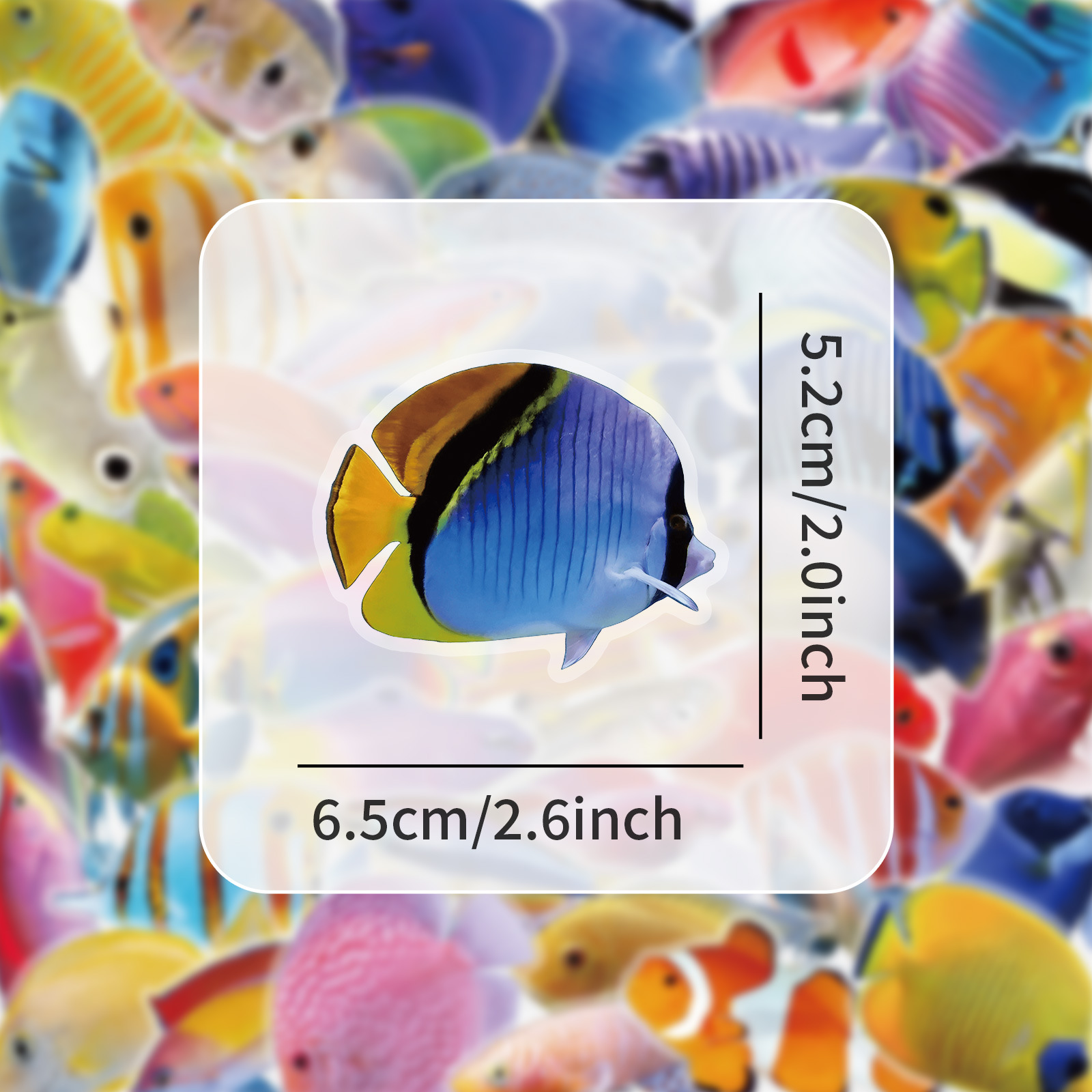 50-100PCS Transparent PET Cora - Marine Coral ulasan dan harga