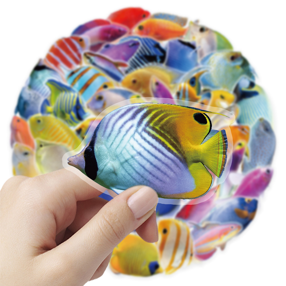 50-100PCS Transparent PET Cora - Marine Coral ulasan dan harga