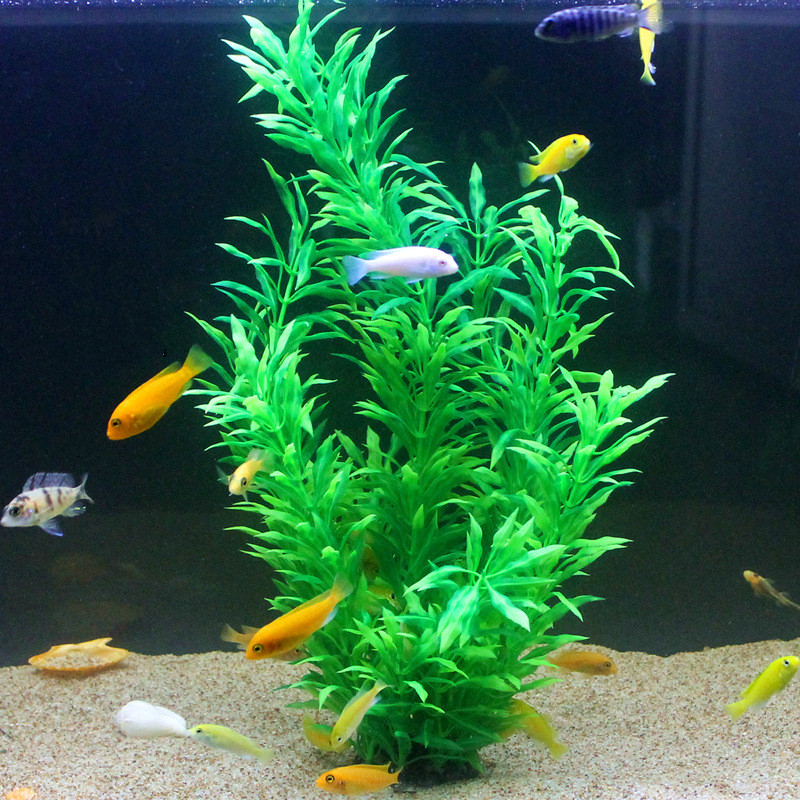 50CM Artificial Fish Tank Rare - Ocean Aquarium ulasan dan harga