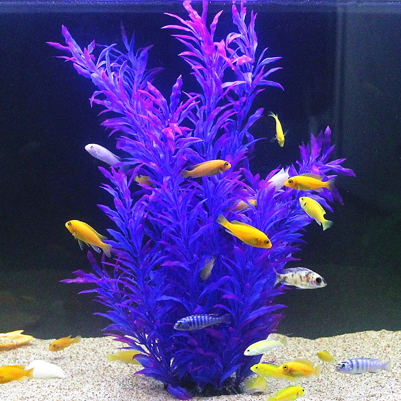50CM Artificial Fish Tank Rare - Ocean Aquarium ulasan dan harga