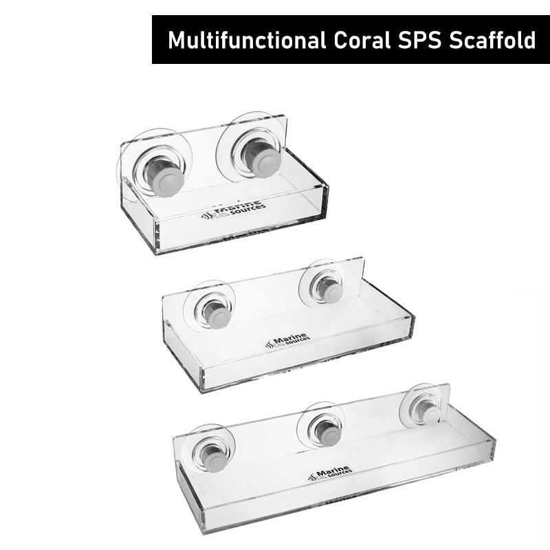 Marine Sources Multi-functiona - Marine Coral ulasan dan harga