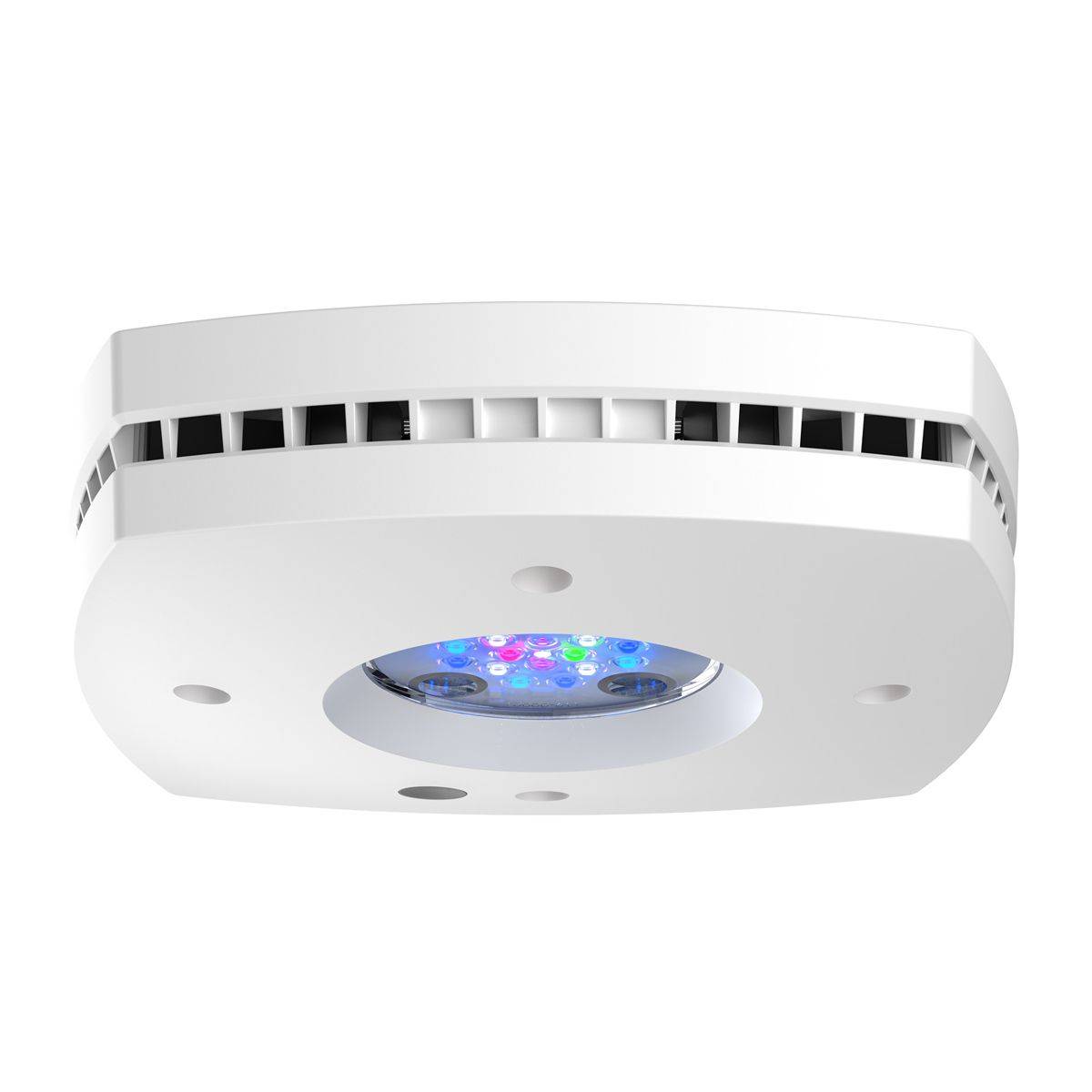Prime 16 HD LED Reef Light, Or - Reef Lighting ulasan dan harga