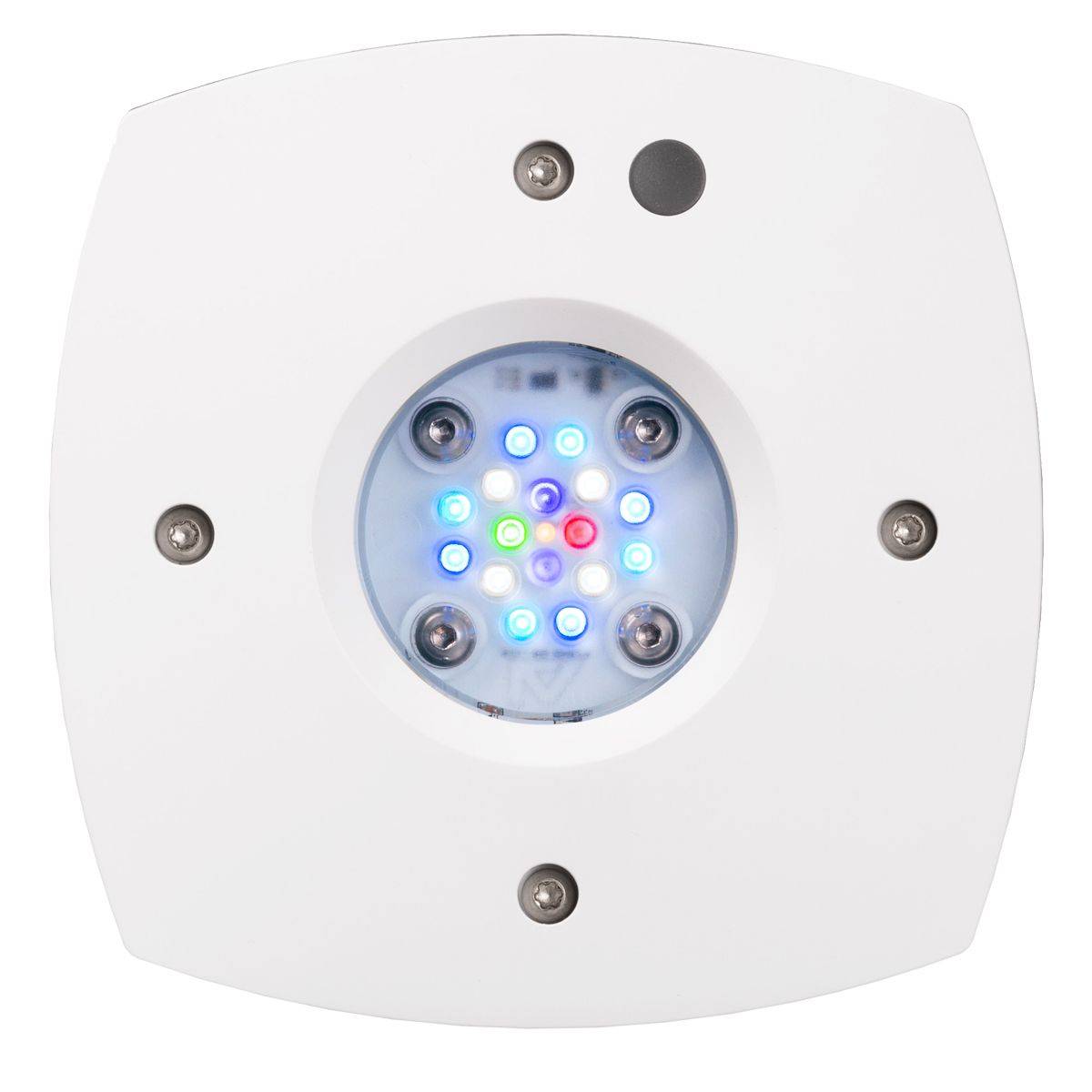Prime 16 HD LED Reef Light, Or - Reef Lighting ulasan dan harga