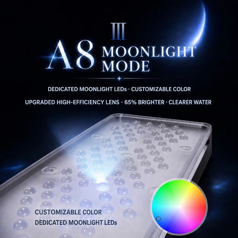 AIPAI A8 III Series A8SE/A8 Pr - Marine Coral ulasan dan harga