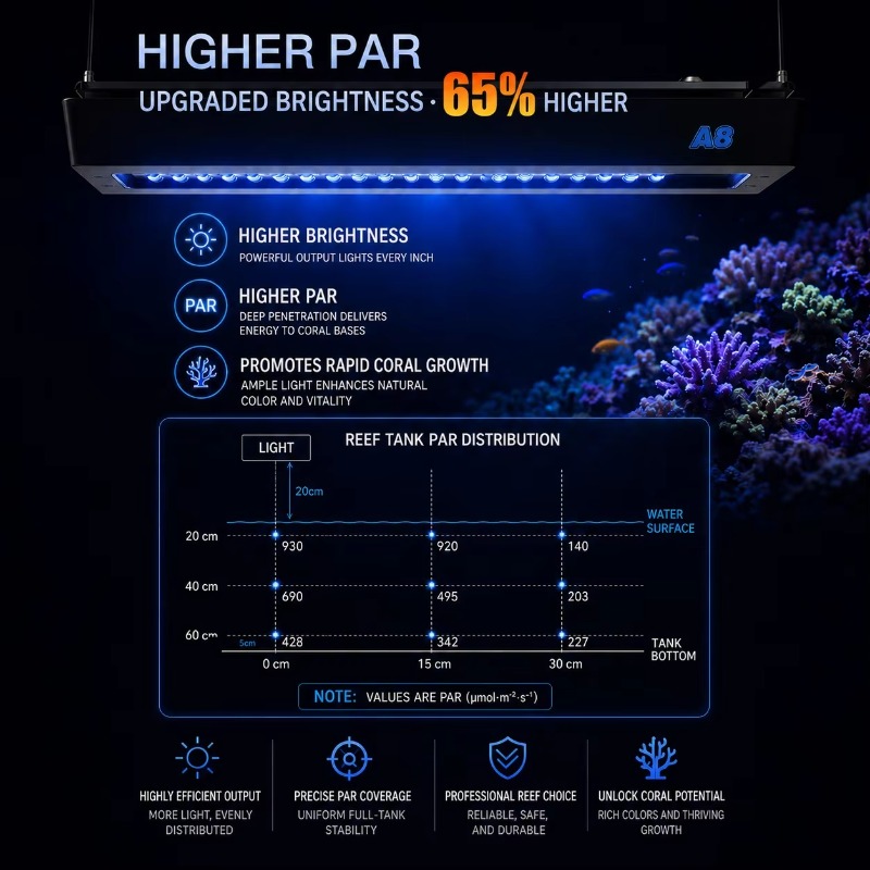 AIPAI A8 III Series A8SE/A8 Pr - Marine Coral ulasan dan harga