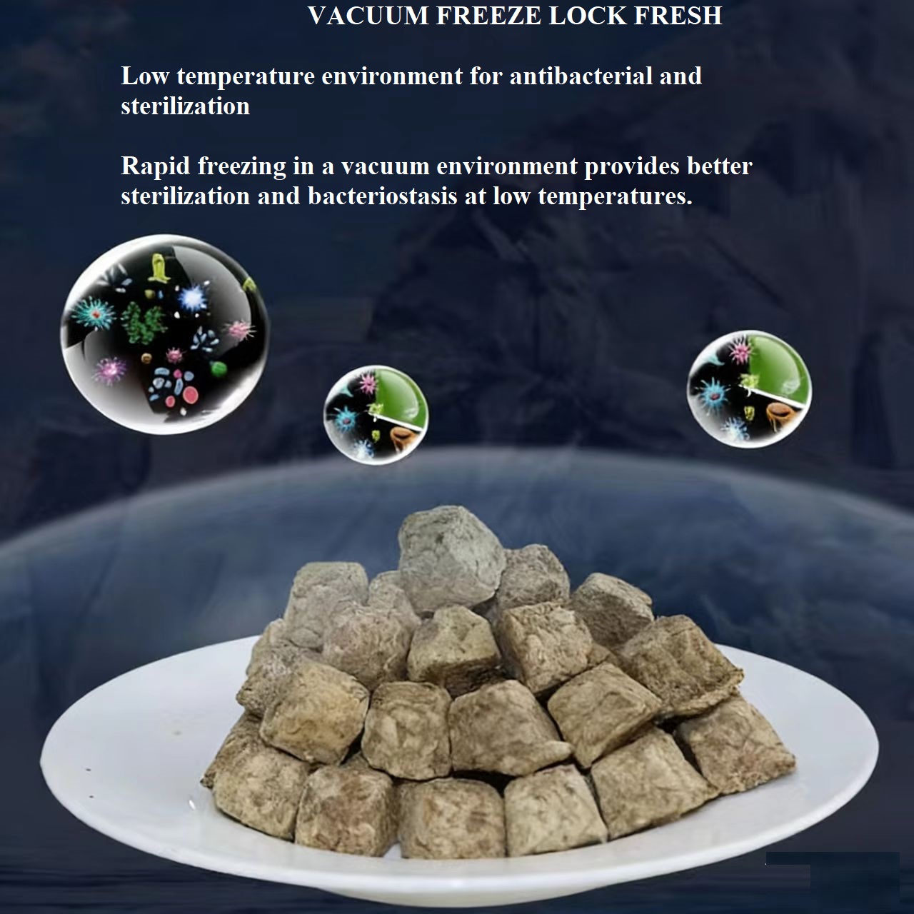 Natural Freeze Dried Artemia S - Marine Aquarium Cube ulasan dan harga