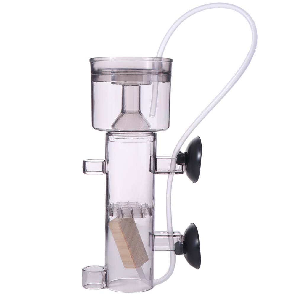 Suction Cup Aquarium Protein S - Reef Tank Filter ulasan dan harga
